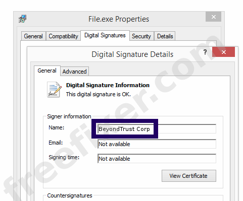 Screenshot of the BeyondTrust Corp certificate